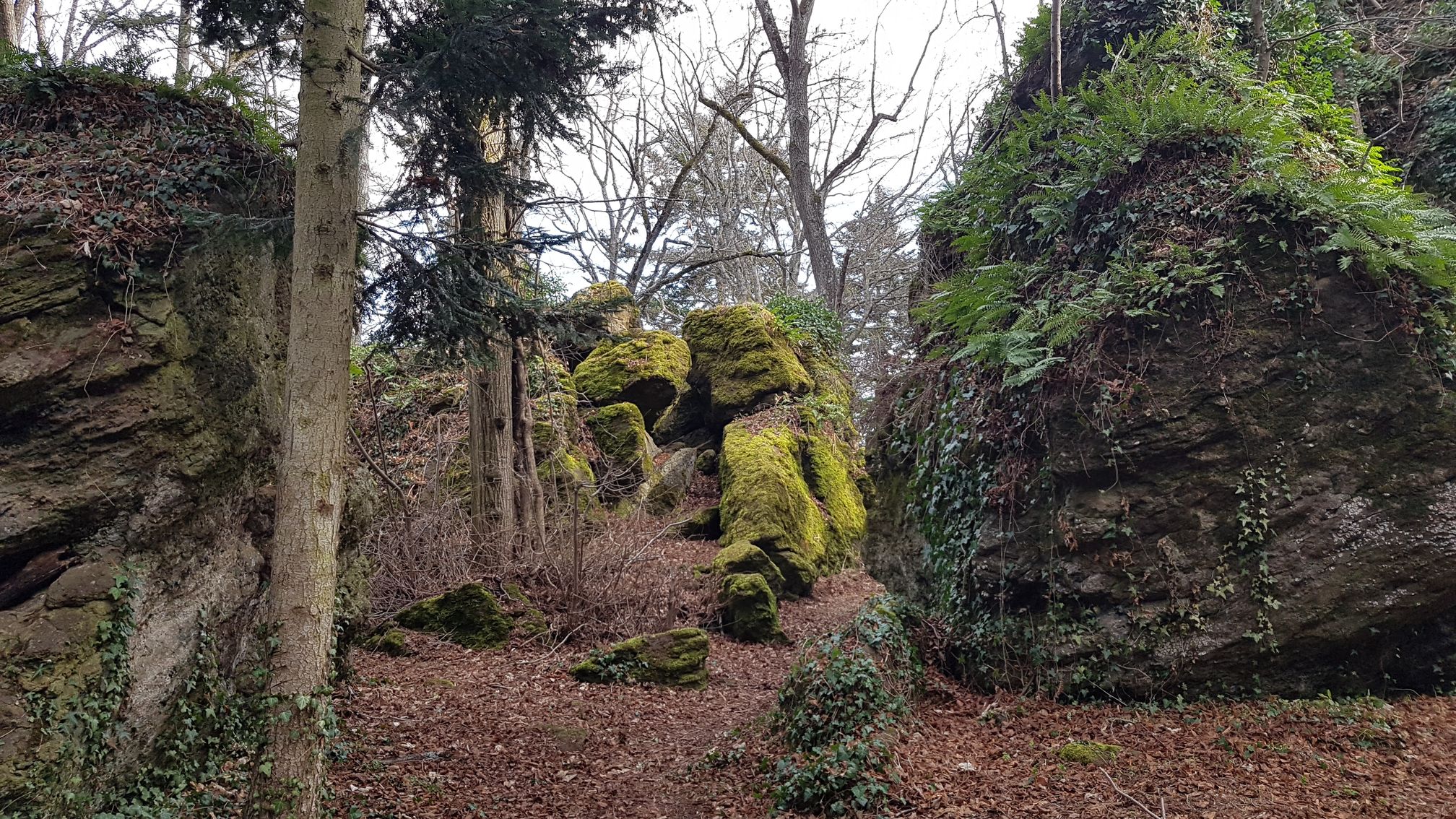 photo du bois des seigneurs