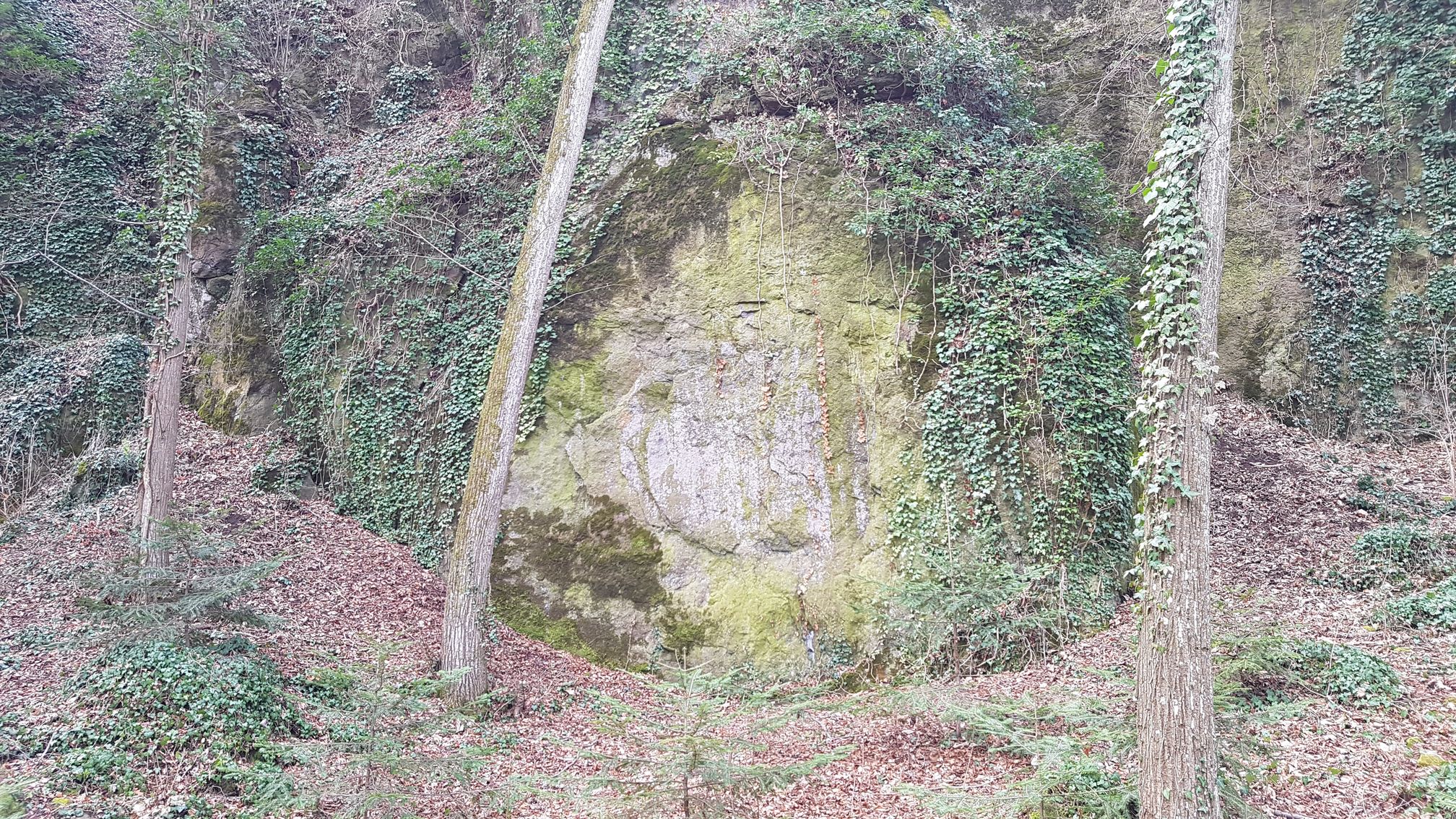 photo du bois des seigneurs