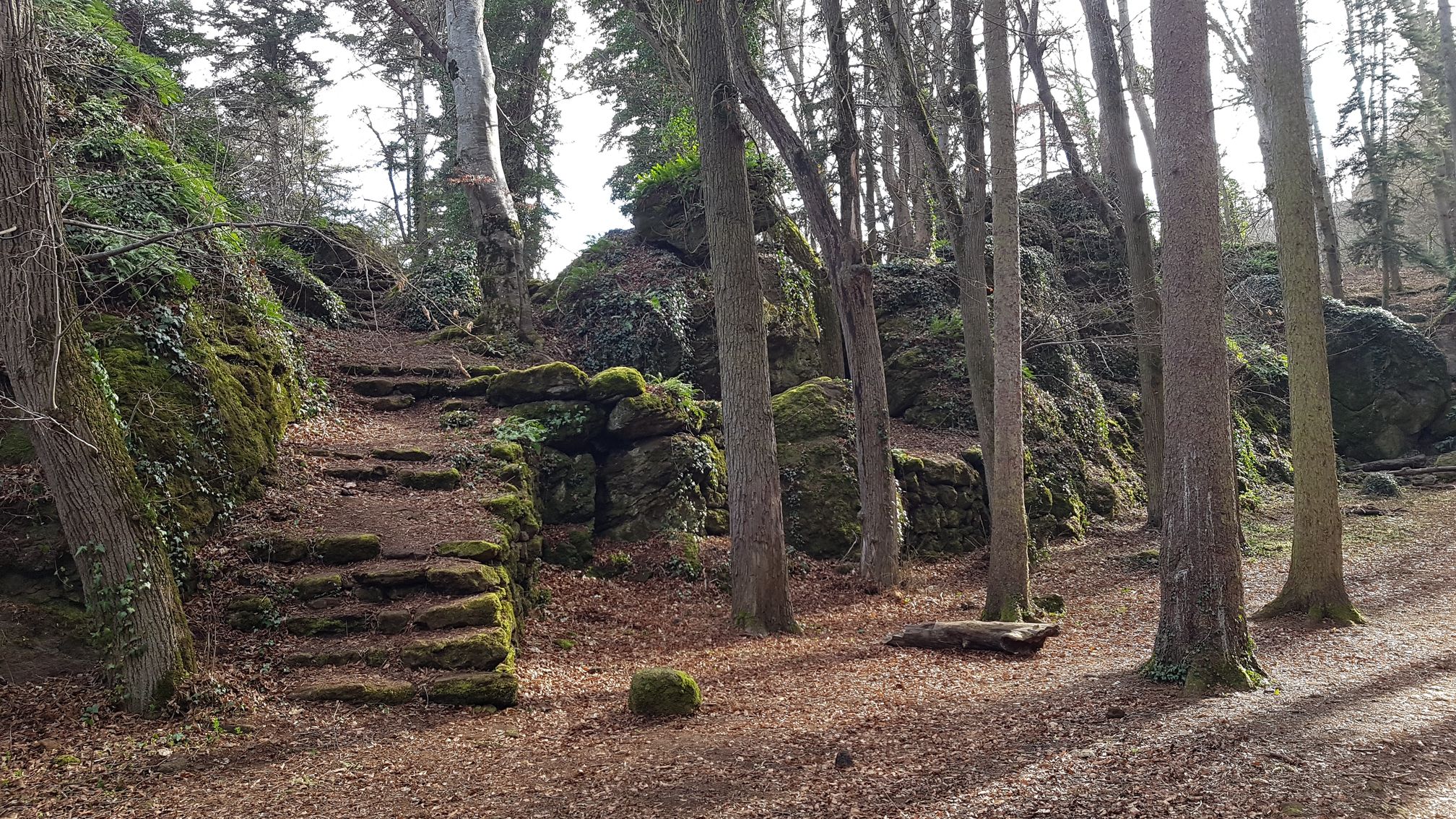 photo du bois des seigneurs