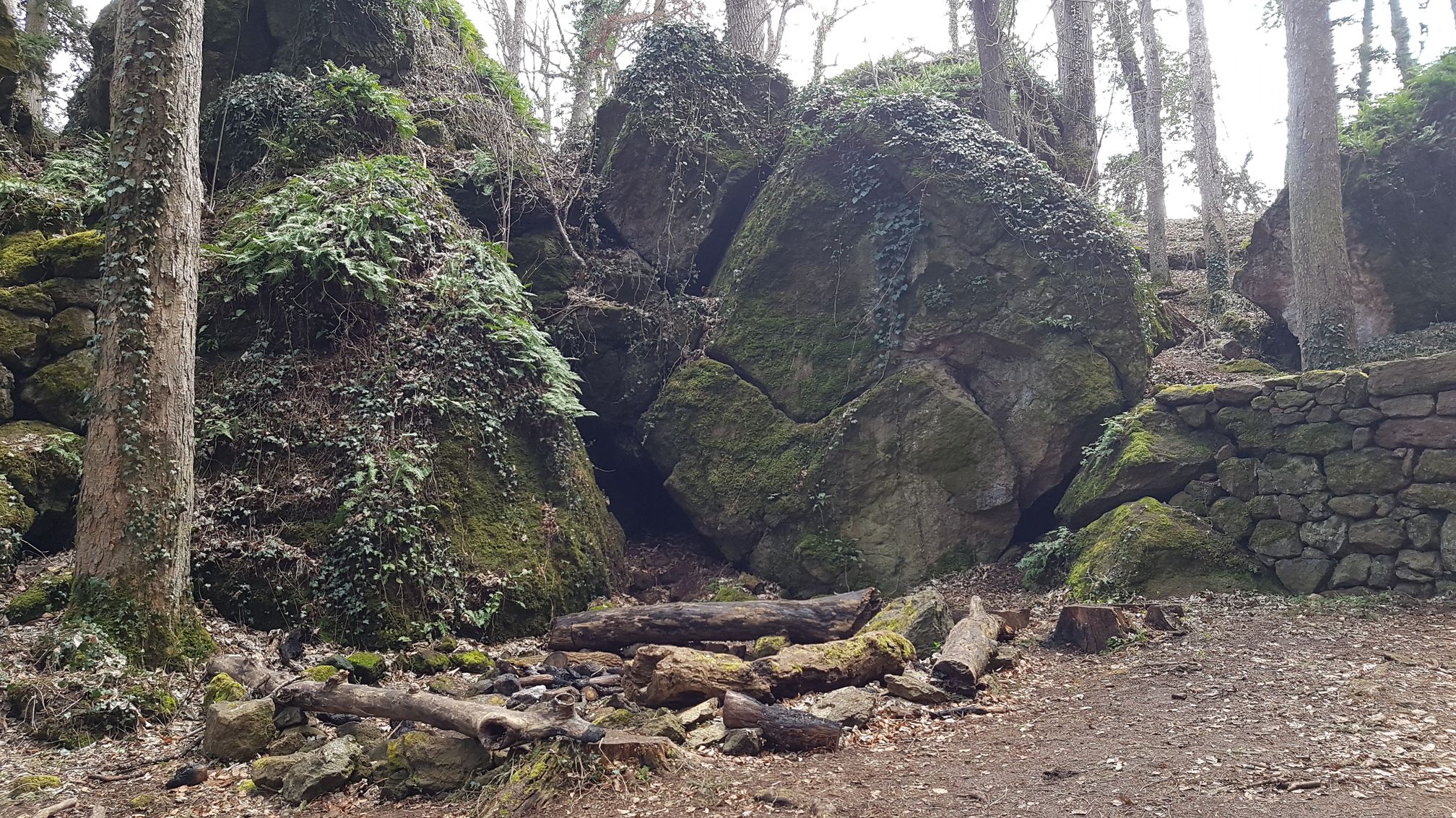 photo du bois des seigneurs