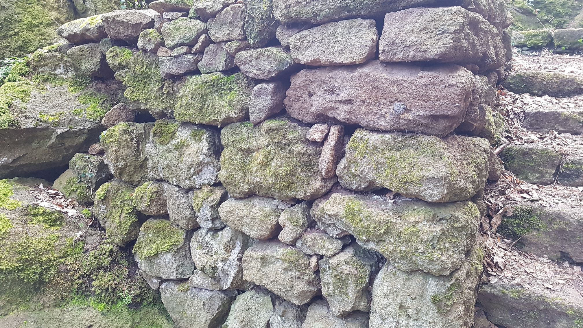 photo du bois des seigneurs