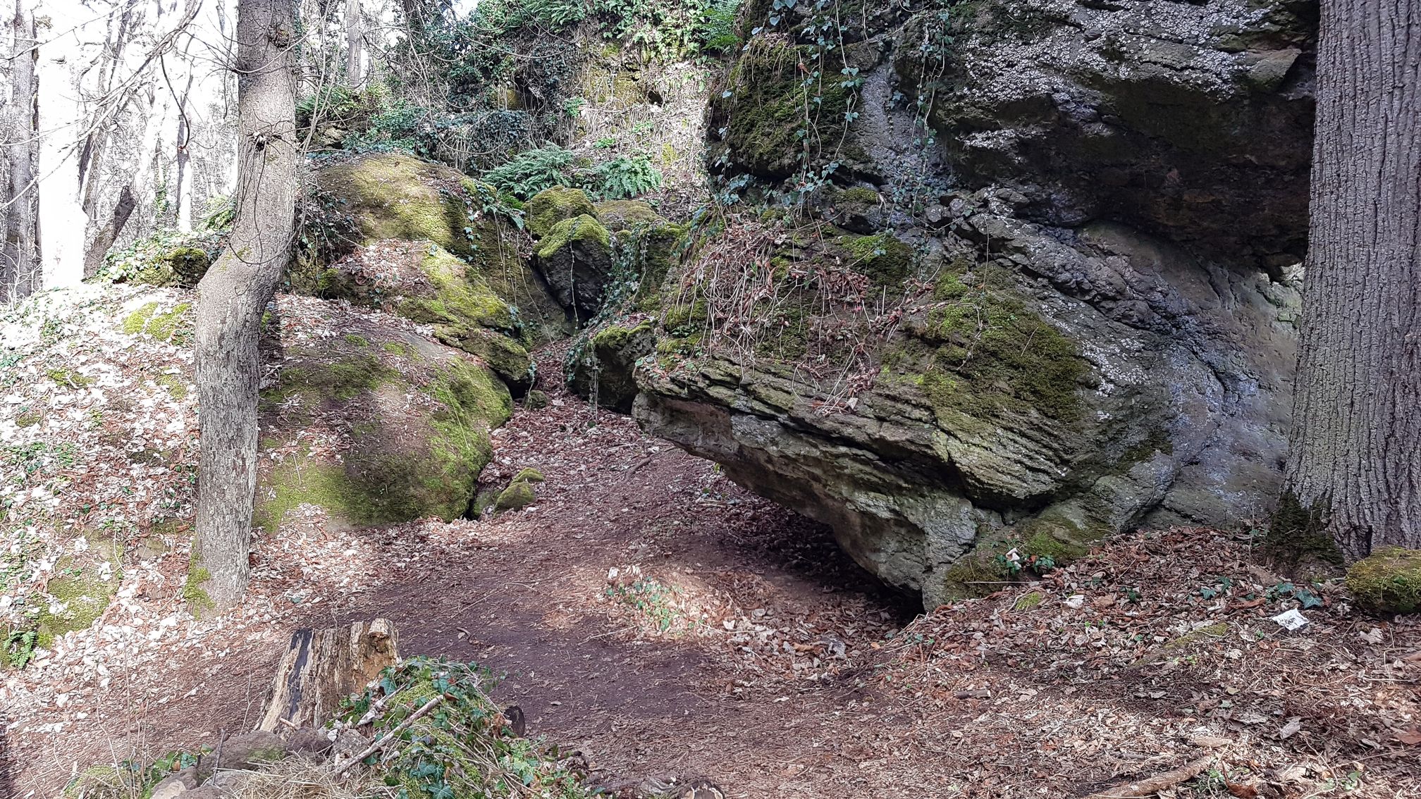 photo du bois des seigneurs