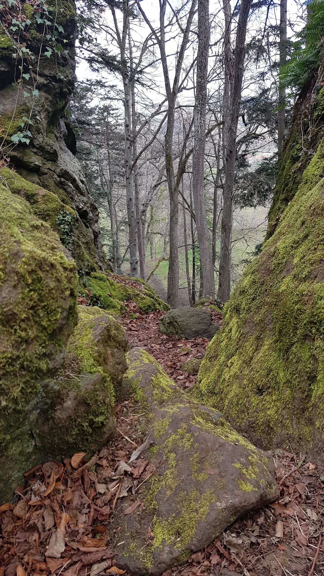 photo du bois des seigneurs