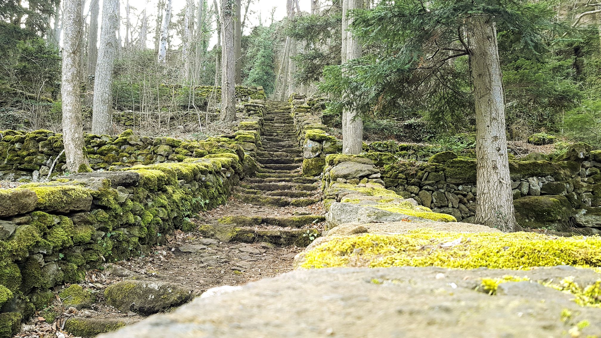 photo du bois des seigneurs