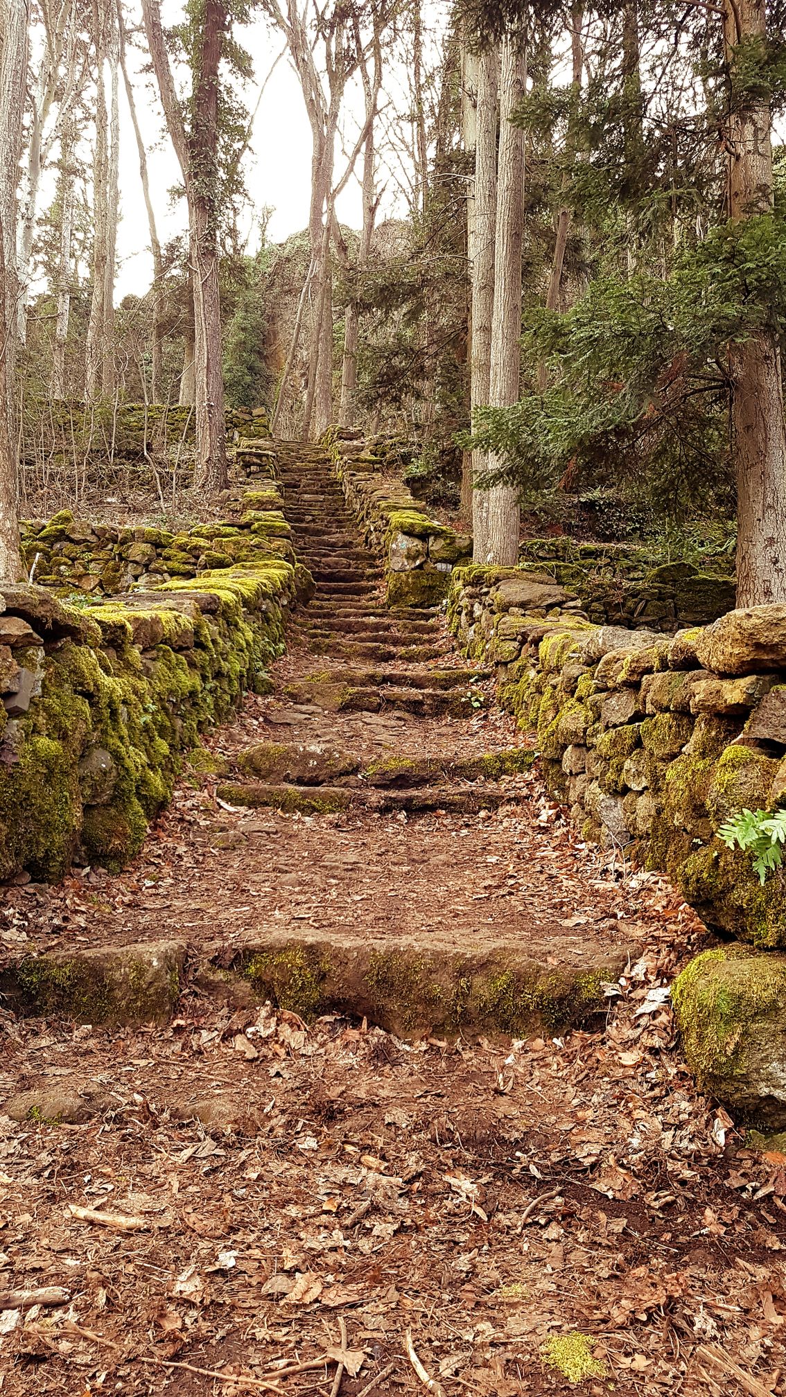 photo du bois des seigneurs