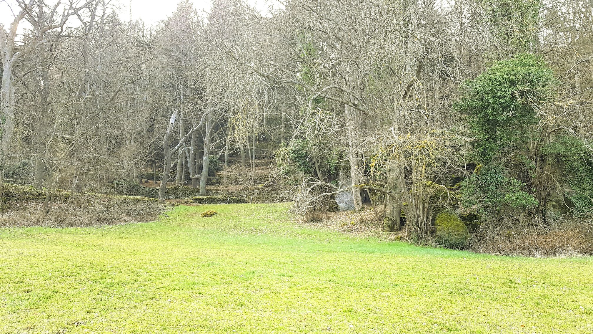 photo du bois des seigneurs